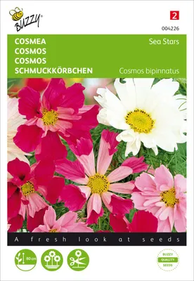 Obrázok produktu pre Zmes hviezdicovitých rastlín Cosmos Bipinnatus | Semená kvetín od Buzzy Seeds