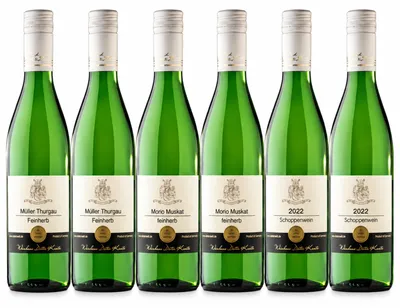Produktbild von Weinschorle Probierpaket feinherb – Weingut Kuntz vegan 6 Flaschen à 1,0l