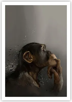 Produktbild von Poster - Poster ohne Rahmen - Schimpanse Porträt Grafik - 70x100 cm - Wand Bild - Wanddeko - Wandbilder - Kunstposter - Wandposter - Bilder - Kunstdruck - Wanddekoration - Wandbild - P2XPA70x100-4676