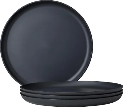 Obrázek produktu pro Plastový disk
