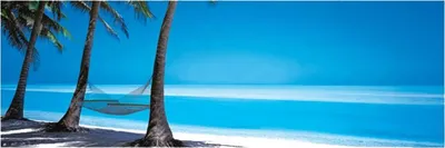 Produktbild von Palmen – Strand – 30,5 x 91,5 cm – Poster/Plakat