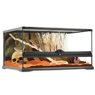Produktbild von Terárium, Paludárium Exo Terra vrátane zadnej steny, bez krytu na osvetlenie a dekorácie 60 x 45 x 30 cm