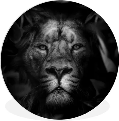 Produktbild von MuchoWow® Rundes Wandbild - Runde Bilder Tiere - Löwe - Dschungel - Schwarz - Weiß Ø 60 cm Kreis Wanddekoration Kunststoff - Wandkreis - Wandschmuck - Wand Kreis - Das Schlafzimmer - Die Bilder - Wandmalerei - Kunst für das Haus - das Plastik
