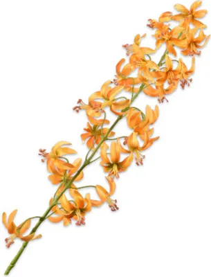 Produktbild von Silk-ka Seidenblume-Kunstblume Lilienstiel Gelb 105 cm