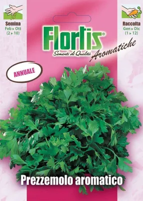 Produktbild von Petersilie | Petersiliesamen von Flortis