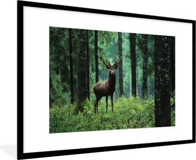 Produktbild von MuchoWow® Gerahmtes Poster Hirsche - Wald - Bäume - Tiere - Natur 90x60 cm - Poster mit Schwarzem Bilderrahmen Wandposter Rahmen Foto Bilder - Wanddekoration - Fotos