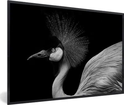 Produktbild von MuchoWow® Gerahmtes Poster Kranich - Schwarz - Weiß - Vogel - Tiere 60x40 cm - Poster mit Schwarzem Bilderrahmen Wandposter Rahmen Foto Bilder - Printing - Wanddeko Schlafzimmer
