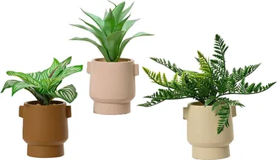 Immagine prodotto di Pianta artificiale da 25 cm con vasi colori assortiti 808559