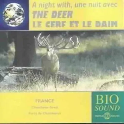 Produktbild von A Night With The Deer