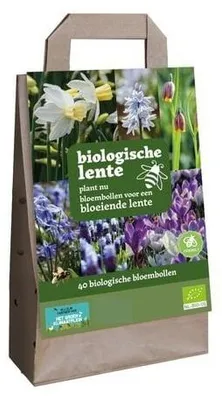 Produktbild von Tüte mit -Frühlingszwiebeln JUB, 40 Zwiebeln