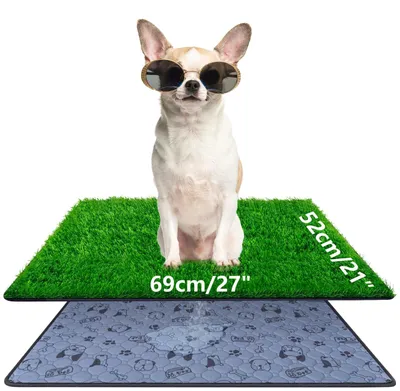 Image de Toilettes pour chiens lavables en gazon synthétique, pour une utilisation extérieure