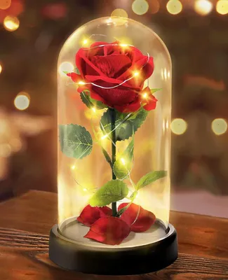 Rote Seidenrose mit LED in Glaskuppel, 1 Stück, 22 cm
