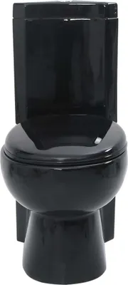 A black toilet is shown from the front against a white background.