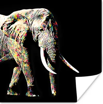 Produktbild von MuchoWow® Poster Elefant - Tiere - Farben 75x75 cm - Wand Dekoration