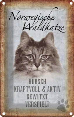 Image de vianmo Plaque en tôle 18x12 cm norvegische Waldkatze Katze Wanddeco