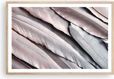 Produktbild von Gerahmtes Poster - Rahmen in heller Eiche - Federn Flügel Feder - 91,5x61 cm - Wand Bild - Wanddeko - Wandbilder - Kunstposter - Wandposter - Bilderrahmen - Bilder - Kunstdruck - P2NAA91x61-5114