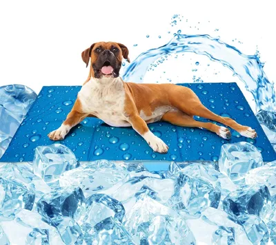 Productafbeelding van Koelmat voor honden 50x90 cm, zelfkoelend, koelgelvulling, voor thuis