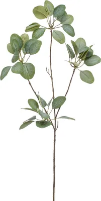 Produktbild von artplants.de Künstlicher Eukalptus KRISZTOFER, grün, 90cm - Kunststoff Zweig