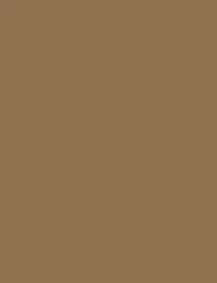 Produktbild von Folia Ton-Papier 50x70 130g rehbraun