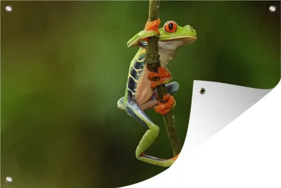 Produktbild von MuchoWow®