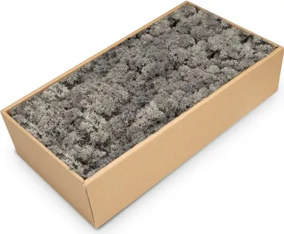 Produktbild von Islandmoos Anthrazit, konserviert, verpackt im Karton mit ca. 500g