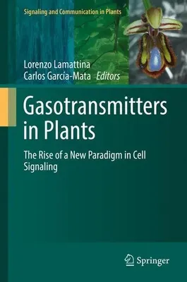 Immagine prodotto di Trasmettitori di gas negli impianti