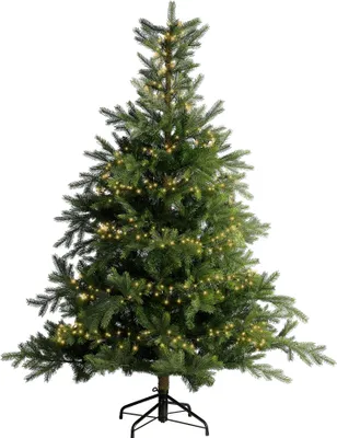 A decorated Christmas tree with lights.