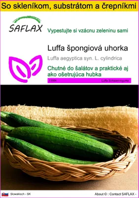 Obrázok produktu pre SAFLAX Kultivačný set - Luffa špongiová uhorka - Luffa aegyptica syn. L. cylindrica - 10 Semená - S mini skleníkom, pestovateľským substrátom a 2 črepníkmi