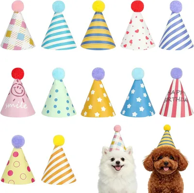 Produktbild von Hundehut – Set mit 12 Stück