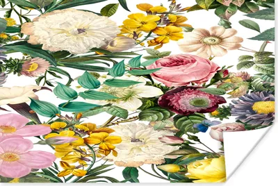 Produktbild von MuchoWow® Poster Blumen - Weiß - Gelb - Rosa 30x20 cm - Plakate - Print
