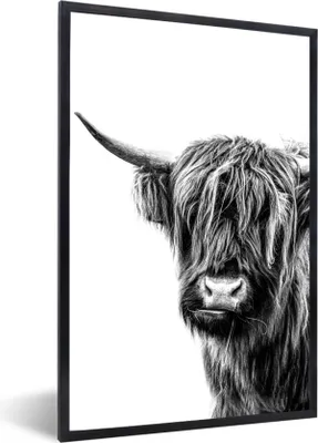 Produktbild von MuchoWow® Gerahmtes Poster Ein schottischer Highlander auf einem weißen Hintergrund - schwarz und weiß 60x90 cm - Poster mit Schwarzem Bilderrahmen Wandposter Rahmen Foto Bilder - Kunst