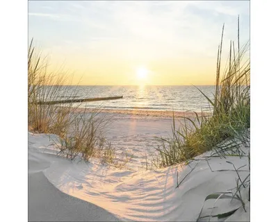Produktbild von Giclée Leinwandbild Beach View 80x80 cm