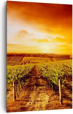 Produktbild von Bild auf Leinwand - Leinwandbild - Einteilig - Weinberg Aussicht Landschaft - 80x120cm - Wand Bild - Wanddeko - Wandbilder - Leinwanddruck - Wanddekoration - Leinwand bilder - Wandbild - PA80x120-0170