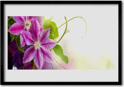 Produktbild von Bild 100x70 MDF-Rahmen Wandkunst Blumen Natur Natur