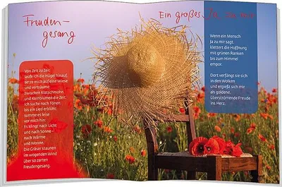 Produktbild von Ich wünsch dir Freude allezeit