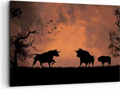 Produktbild von Bild auf Leinwand - Leinwandbild - Tier wütend Stier - 120x80cm - Wand Bild - Wanddeko - Wandbilder - Leinwanddruck - Bilder - Kunstdruck - Wanddekoration - Leinwand bilder - Wandkunst - AA120x80-0494