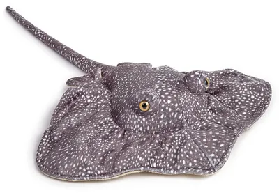 Immagine prodotto di Orsetto di peluche Cambrian, 50 cm