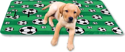 Obrázok produktu pre Zvieracia deka s fototlačou - futbal, rozmery: 80x120cm