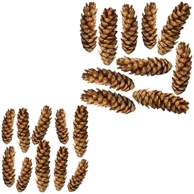 Imagen del producto de Conos de pino, decoración natural, manualidades, color marrón, juego de 10, 2 tamaños, 6 unidades: 10 cm