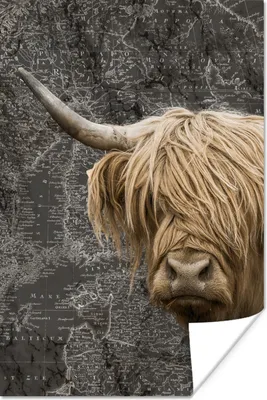 Produktbild von MuchoWow® Poster Schottische Highlander - Kühe - Weltkarte 120x180 cm - Kunstposter