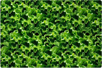 Produktbild von Küchenmatte 100x150 cm Vinylmatte Bodenmatte Dekoration -Grüner Kopfsalat