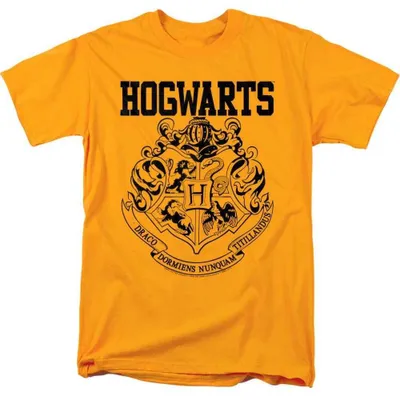 Produktbild von Harry Potter - T-Shirt für Herren/Damen Uni, Athletisch TV36688 (3XL) (Gold)