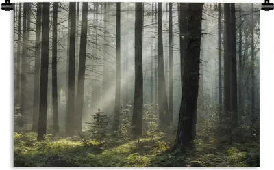 Produktbild von MuchoWow® Wandteppich Wandbehang Wald - Pflanzen - Nebel 150x100 cm Tapisserie Dekoration Wandtuch - Waschbar - Tapisserien - Wand-Decke