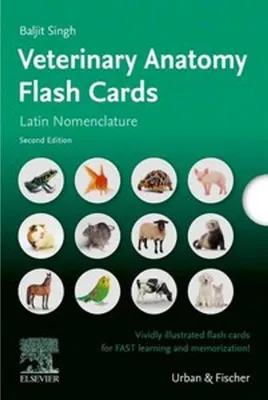 Produktbild von Lernkarten Veterinäranatomie / Veterinary Anatomy Flash Cards