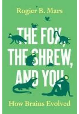 Immagine prodotto di The Fox, the Shrew, and You