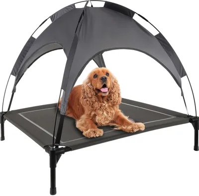 A dog is lying on an elevated pet bed with a canopy.