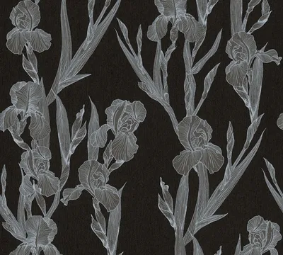 Produktbild von Daniel Hechter Blumentapete florale Tapete Vliestapete schwarz grau weiß 10,05 m x 0,53 m
