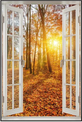 Produktbild von Wallario Wandbild mit Fenster-Illusion: Sonnenuntergang im herbstlichen Wald, Größe: 61 x 91,5 cm, Poster mit schwarzem Aluminiumrahmen