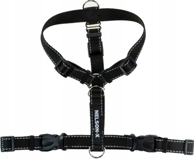 Image de EASY GUARD WALK REFLECTIVE HARNESS taille XL pour TTouch