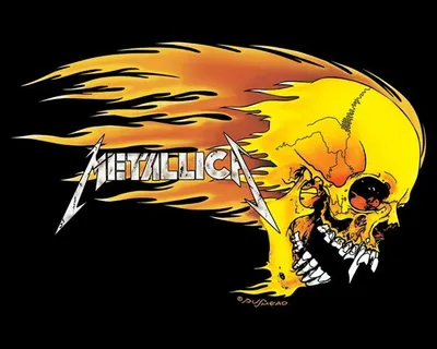 Immagine prodotto di METALLICA - Teschio - 40x51 cm - Poster